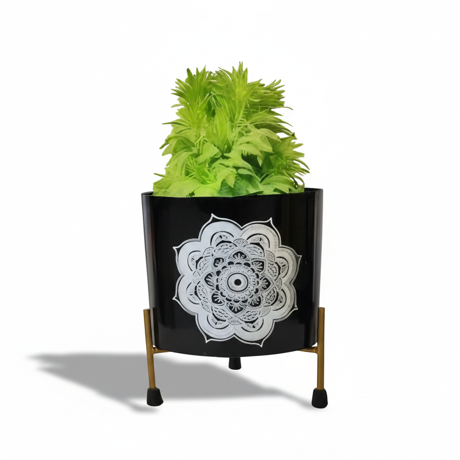 Black planter with white floral design and green plant on a white background