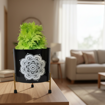 Potted plant in a decorative black pot with white mandala design on a wooden table in a living room.
