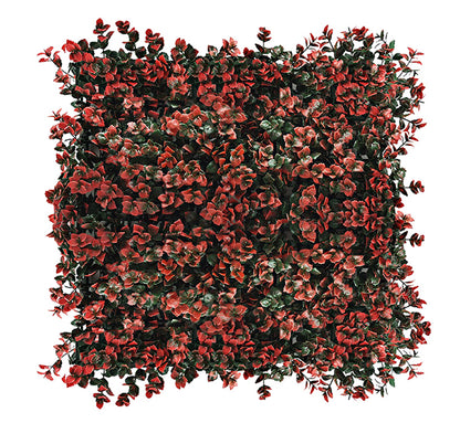 Red Pachysandra Vertical Garden 50cmx50cm
