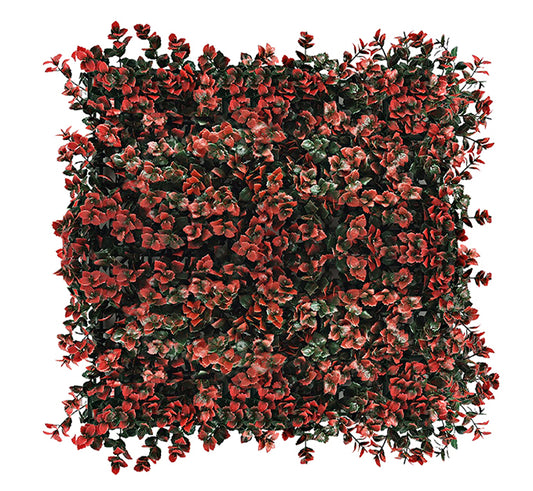 Red Pachysandra Vertical Garden 50cmx50cm