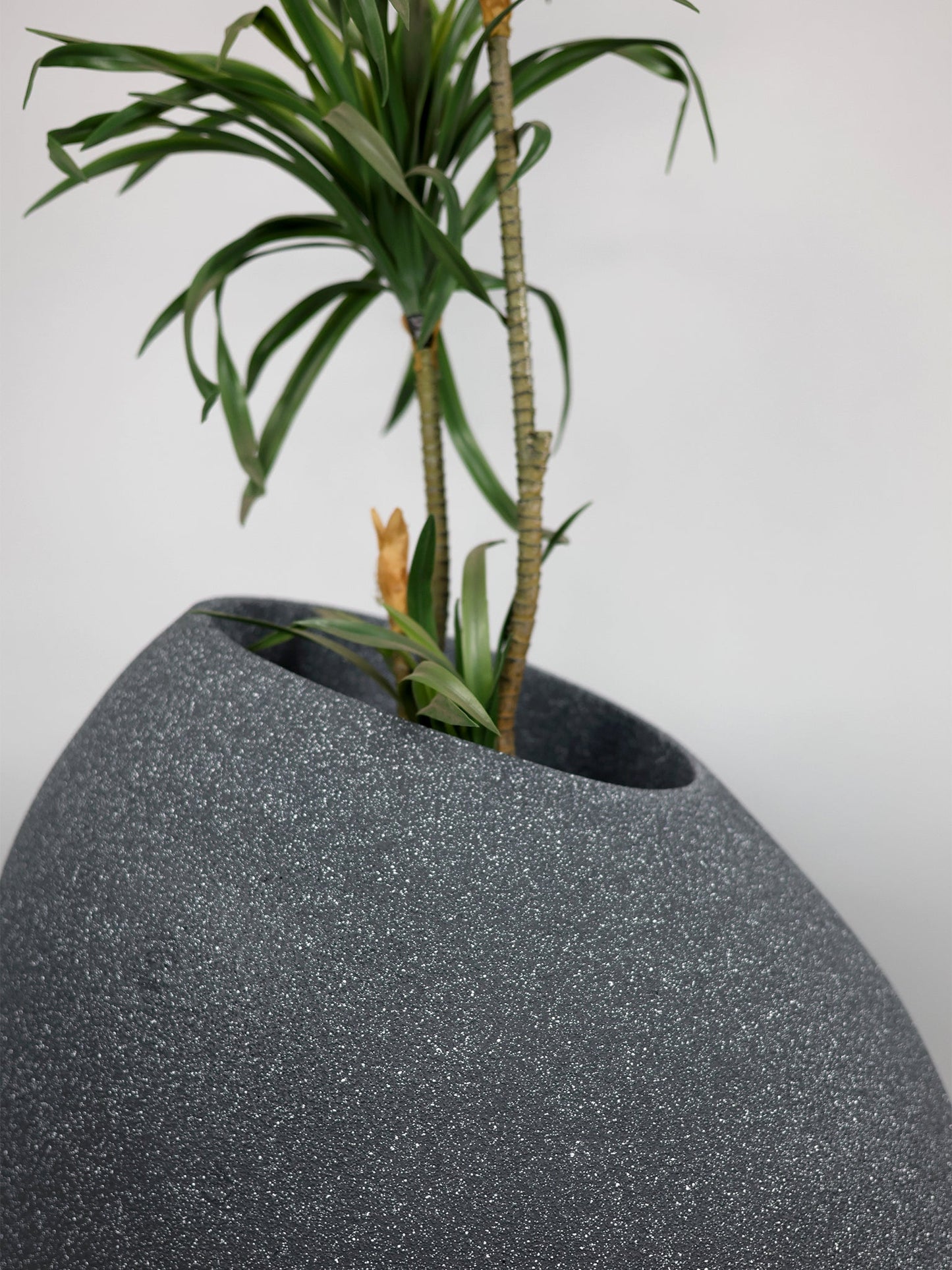 Patato - Fiberglass Planter