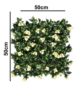 Bougainvillea White Vertical Garden 50cmx50cm