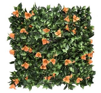 Bougainvillea Orange Vertical Garden 50cmx50cm