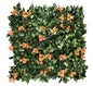 Bougainvillea Orange Vertical Garden 50cmx50cm