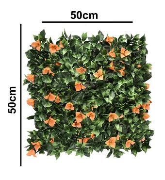Bougainvillea Orange Vertical Garden 50cmx50cm