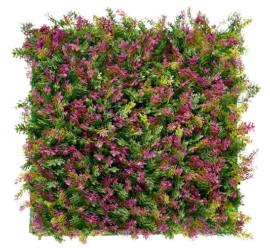 Cypress Vertical Garden 50cmx50cm