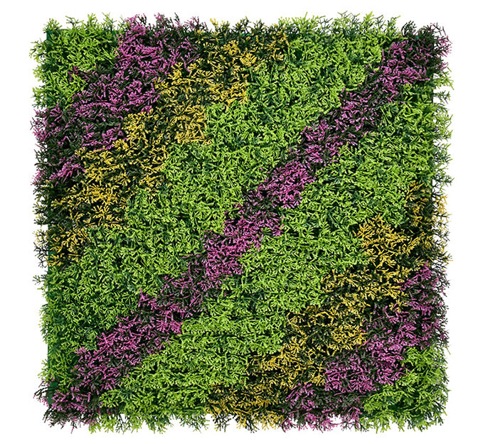 Cupressus Vertical Garden 50cmx50cm