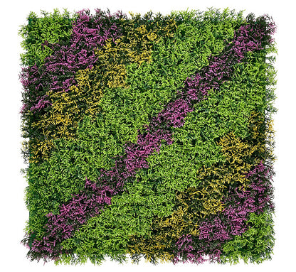 Cupressus Vertical Garden 50cmx50cm