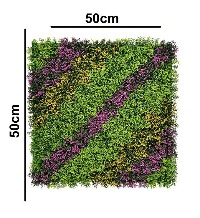 Cupressus Vertical Garden 50cmx50cm