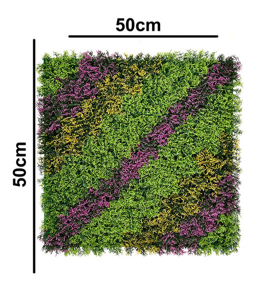 Cupressus Vertical Garden 50cmx50cm