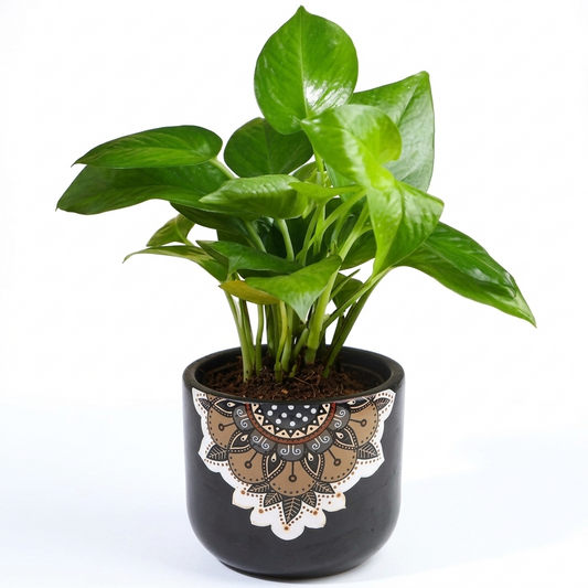 Earthy Mandala Terracotta Planter