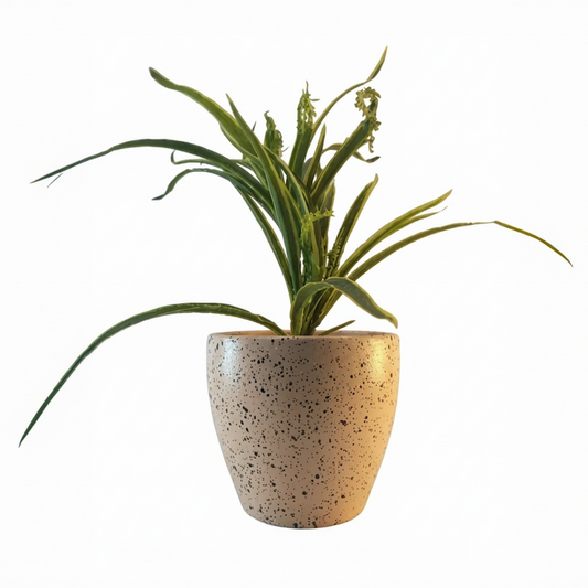 Speckled Earth Terracotta Planter