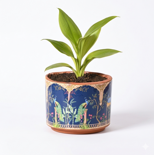 Royal Peacock Garden Terracotta Planter