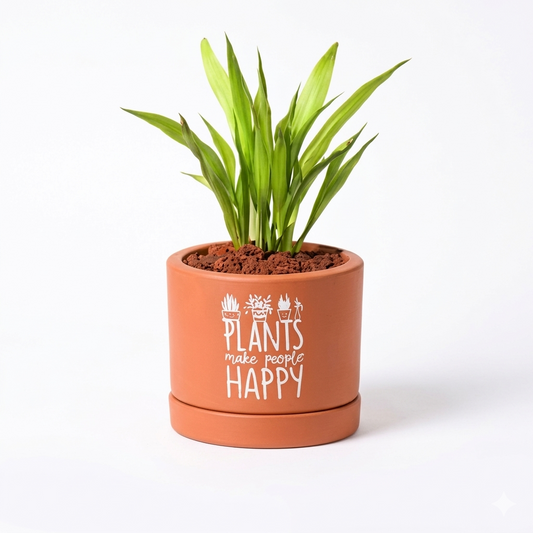 Verdant Arch Terracotta Planter