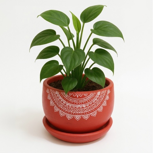 Mandala Lace Terracotta Planter