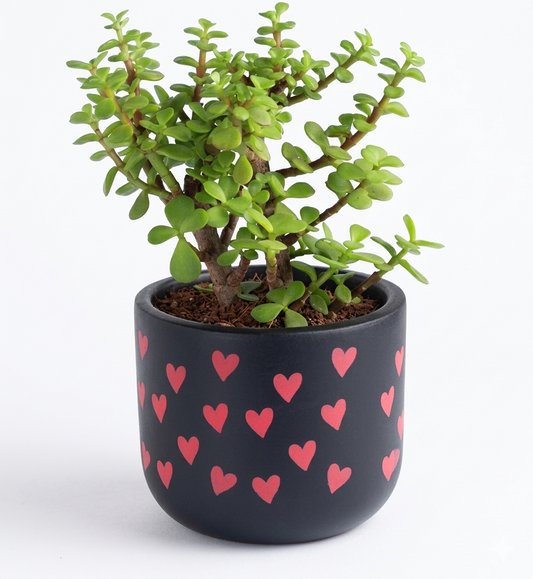 Crimson Hearts Matt Black Terracotta Planter