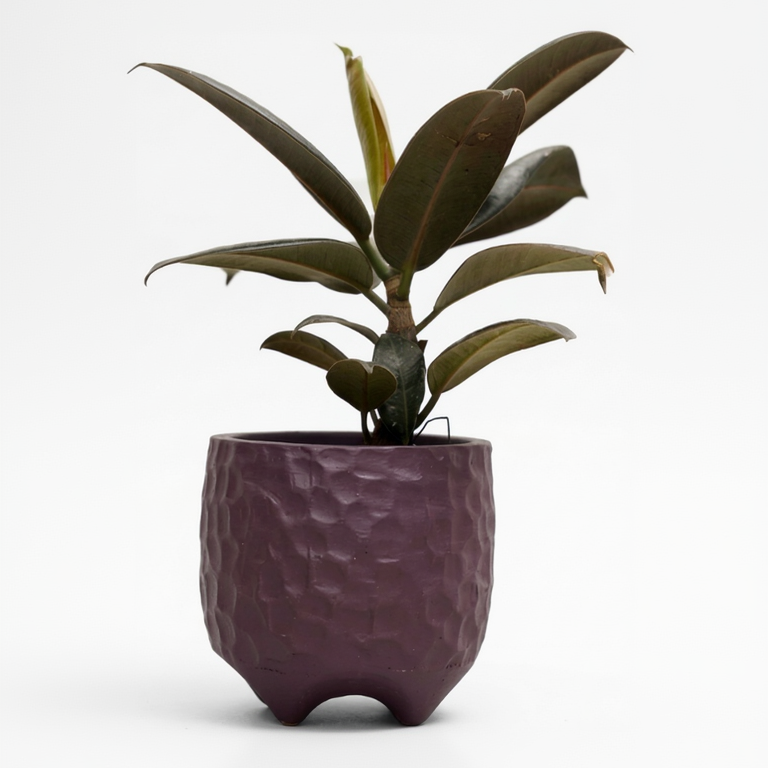Azure Warli Terracotta Planter