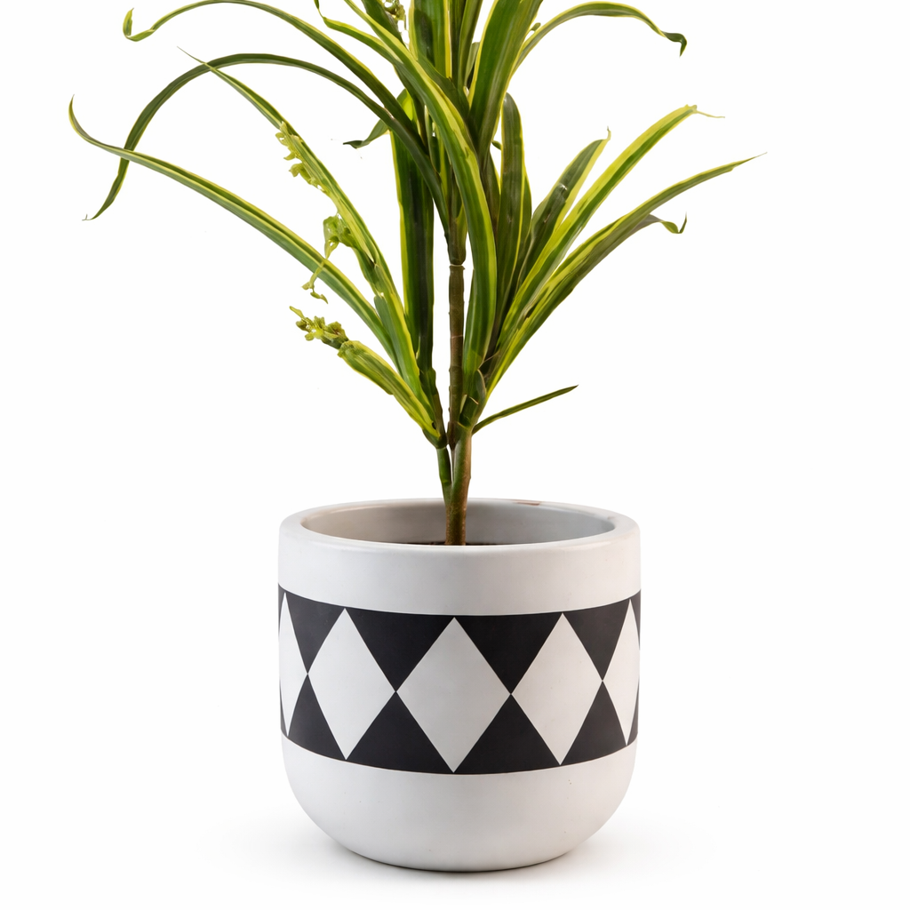 Harlequin Monochrome Terracotta Planter
