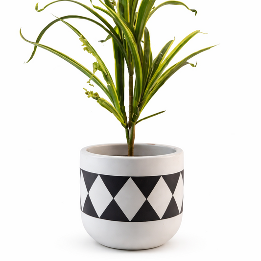 Harlequin Monochrome Terracotta Planter