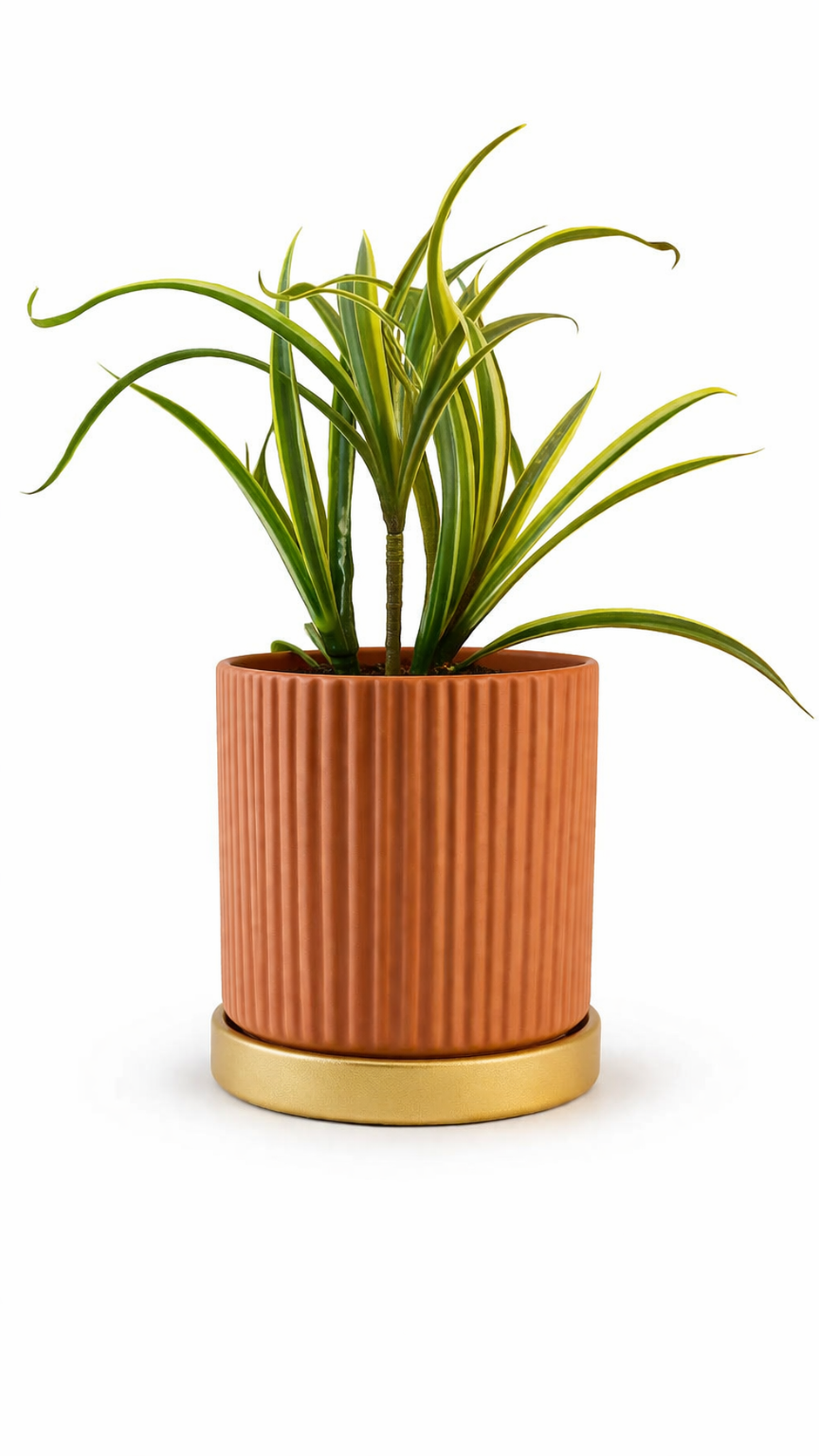 Fluted Horizon Terracotta Planter