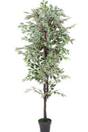 Artificial Ficus Plant – Lifelike Faux Tree for Home and Office Décor (70.87-Inch)