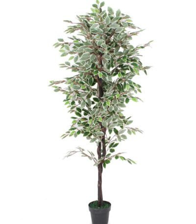 Artificial Ficus Plant – Lifelike Faux Tree for Home and Office Décor (70.87-Inch)