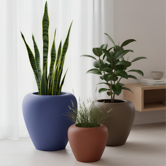 Three potted plants on a light-colored floor with a neutral background