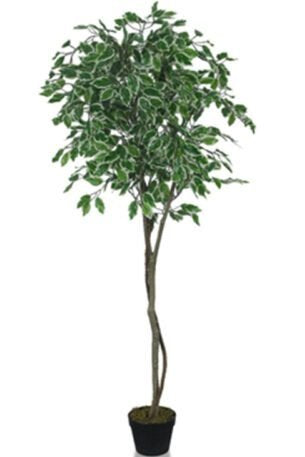Premium Artificial Ficus Tree – 59″ Faux Indoor Plant for Tropical Home And Office Decor