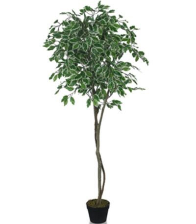 Premium Artificial Ficus Tree – 59″ Faux Indoor Plant for Tropical Home And Office Decor