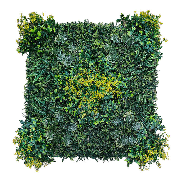 Square arrangement of green plants on a white background