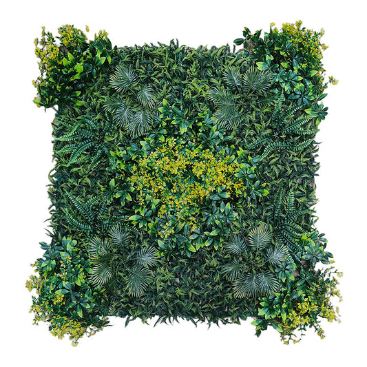 Square arrangement of green plants on a white background