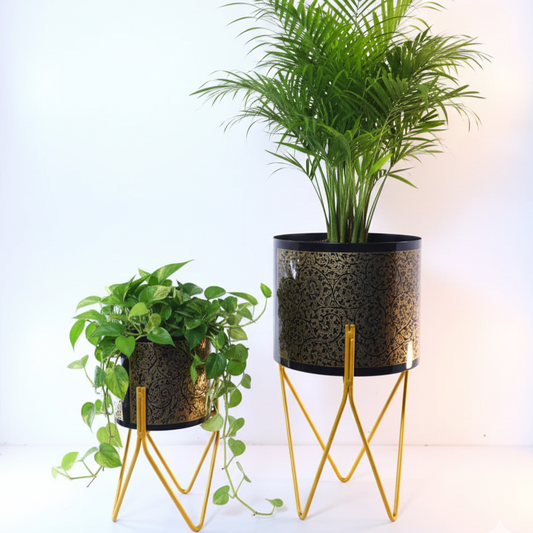 Two potted plants on decorative stands against a white background