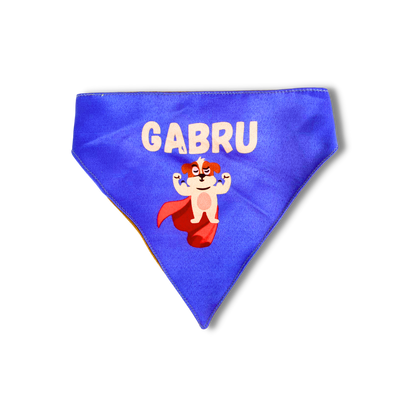 Pet Dog Bandana Gabru