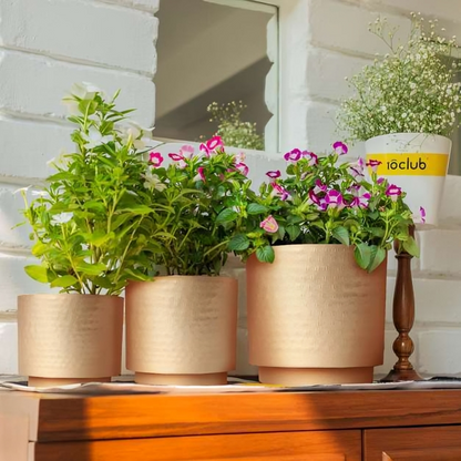 Elegant Textured Gold Planter Set – Set of 3 Indoor and Outdoor