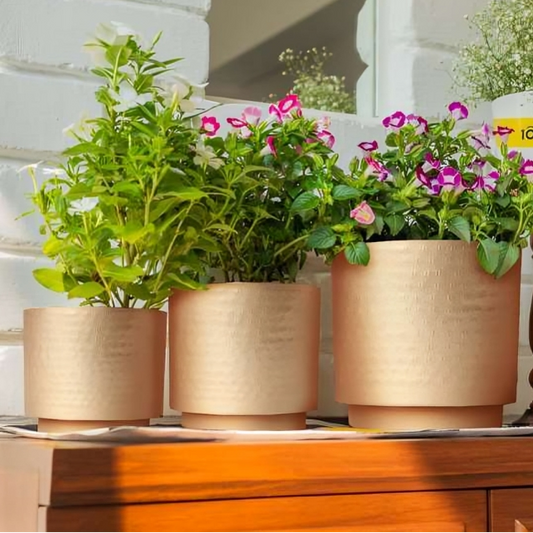 Elegant Textured Gold Planters Modern Set of 3
