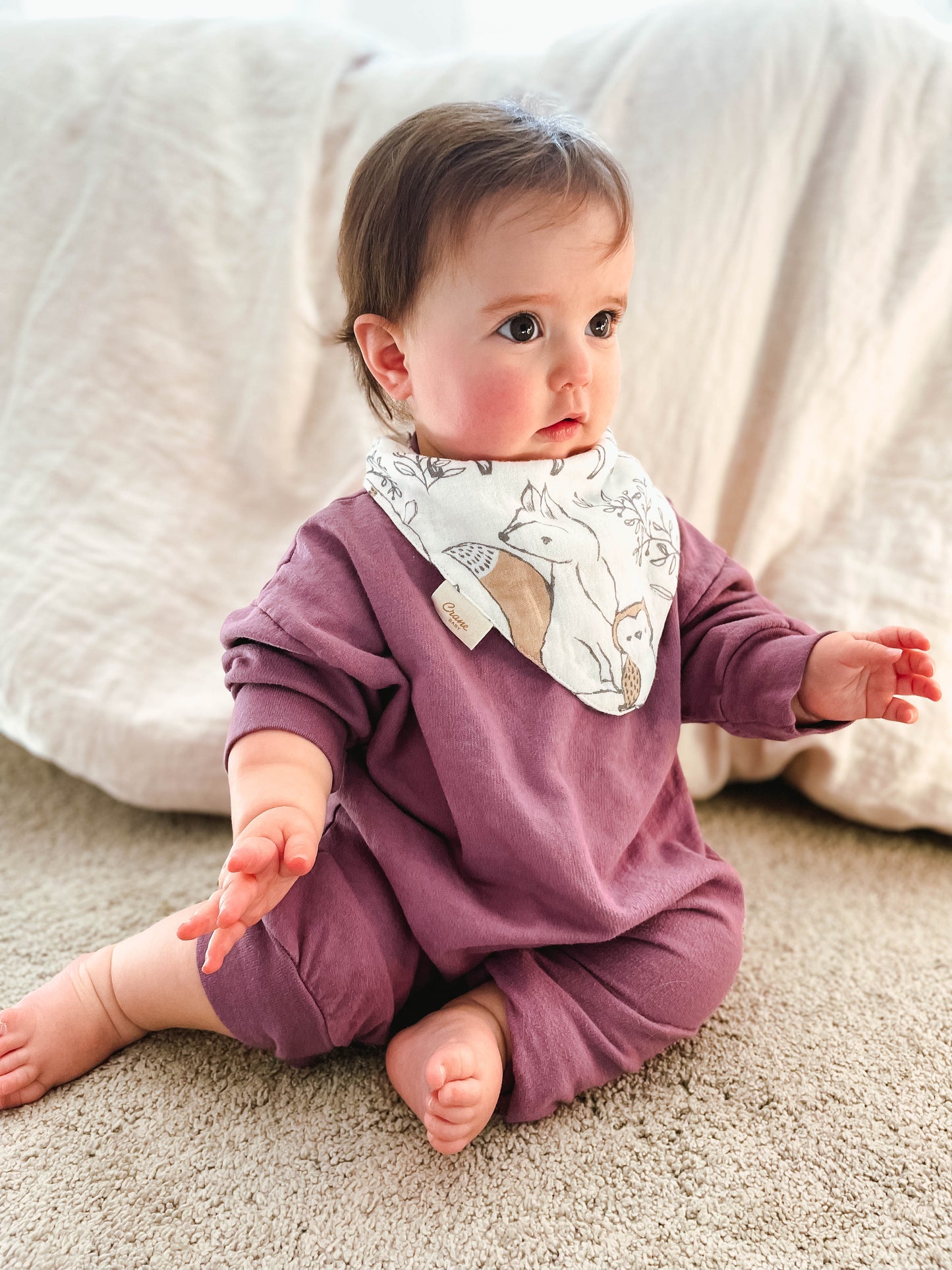 Abracadabra Crane Baby Ezra Bandana Bib Set