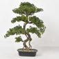 Faux Cypress Tree 35″ – Indoor Decorative Plant