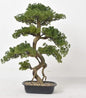 Faux Cypress Tree 35″ – Indoor Decorative Plant