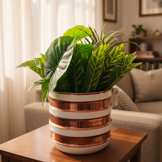 Potted plant in a decorative pot on a wooden table in a living room.