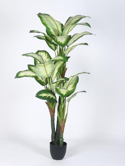 Artificial Indoor Dieffenbachia Plant 63″ | Lifelike Tropical Decor