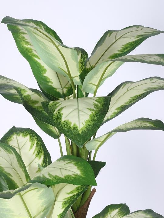 Artificial Indoor Dieffenbachia Plant 63″ | Lifelike Tropical Decor