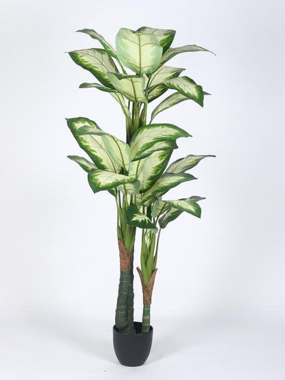 Artificial Indoor Dieffenbachia Plant 63″ | Lifelike Tropical Decor