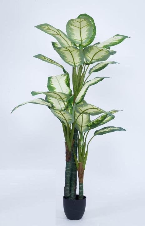 Artificial Indoor Dieffenbachia Plant 63″ | Lifelike Tropical Decor
