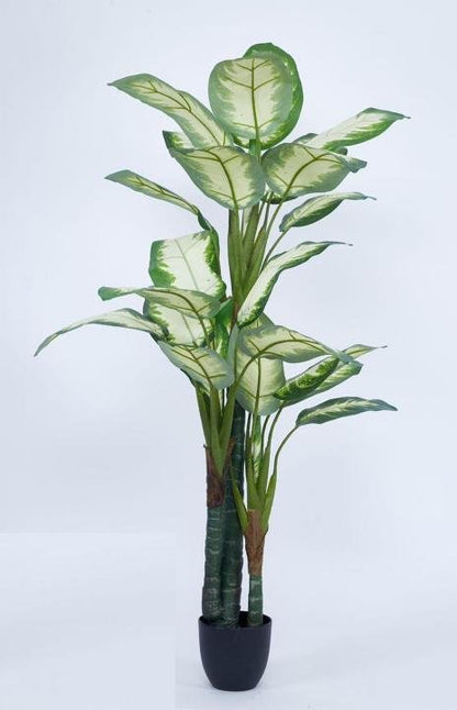 Artificial Indoor Dieffenbachia Plant 63″ | Lifelike Tropical Decor