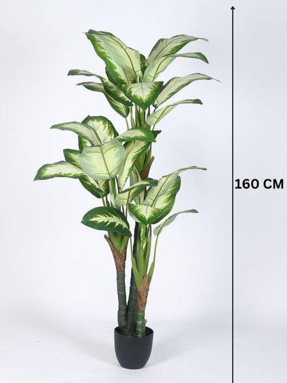 Artificial Indoor Dieffenbachia Plant 63″ | Lifelike Tropical Decor