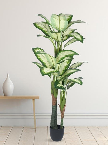 Artificial Indoor Dieffenbachia Plant 63″ | Lifelike Tropical Decor