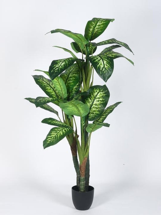 Artificial Dieffenbachia Plant – 63″ | Buy Lifelike Indoor Greenery