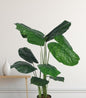 Faux Calathea Plants – 47-Inch Lifelike Artificial Plant