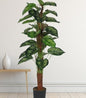 Artificial Calathea Plants – Lifelike Faux Calathea 47″ |Home Decor,Office Decor