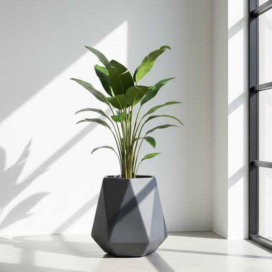 Geometric gray planter with a green plant on a light wooden floor with a white wall and window in the background.